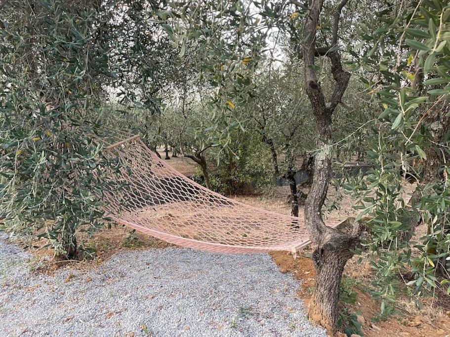 Il Fienile Di Alberto E Costanza * Lucques