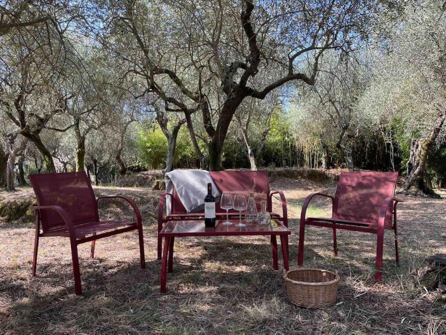 Il Fienile Di Alberto E Costanza Ferienhaus