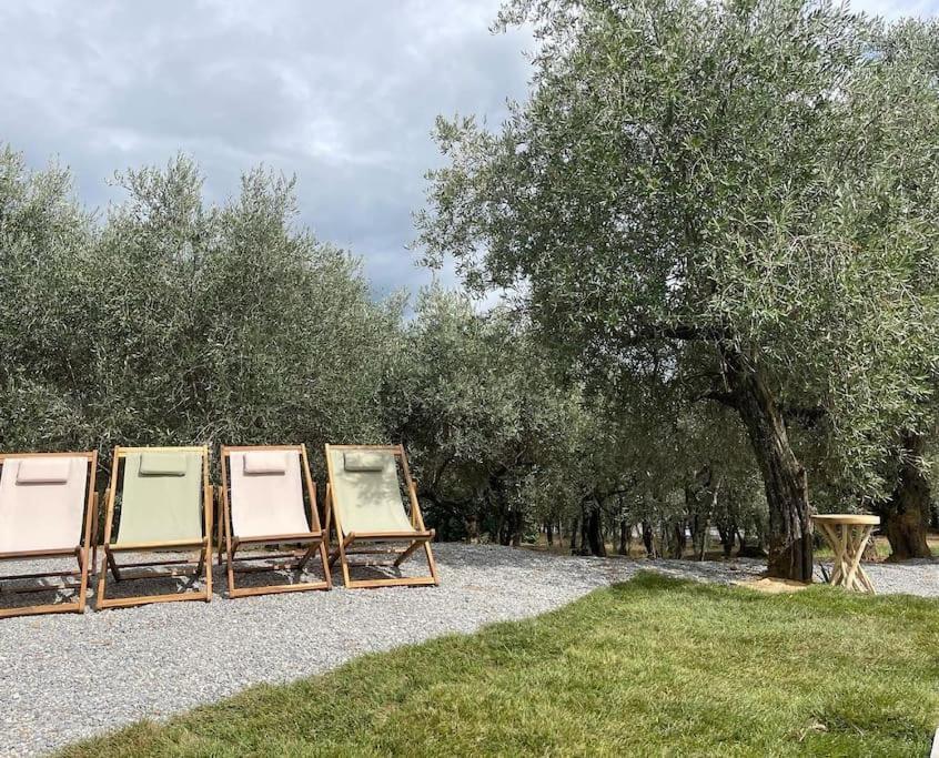 Il Fienile Di Alberto E Costanza